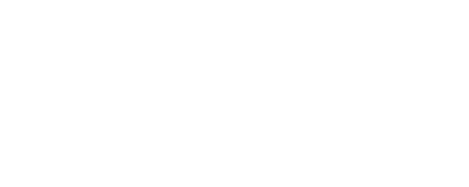 Eximin Logo
